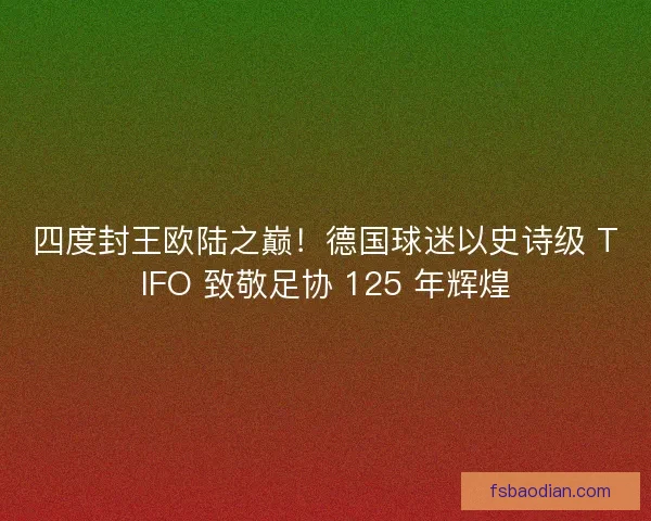 四度封王欧陆之巅！德国球迷以史诗级 TIFO 致敬足协 125 年辉煌