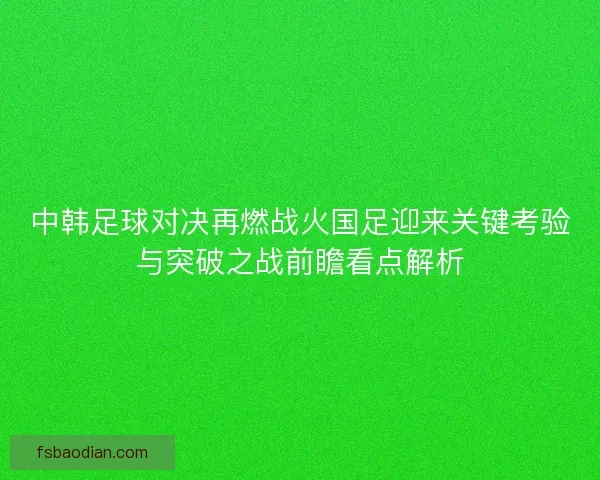 中韩足球对决再燃战火国足迎来关键考验与突破之战前瞻看点解析