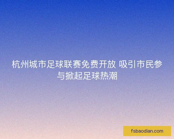 杭州城市足球联赛免费开放 吸引市民参与掀起足球热潮
